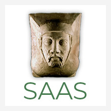 SAAS placeholder image