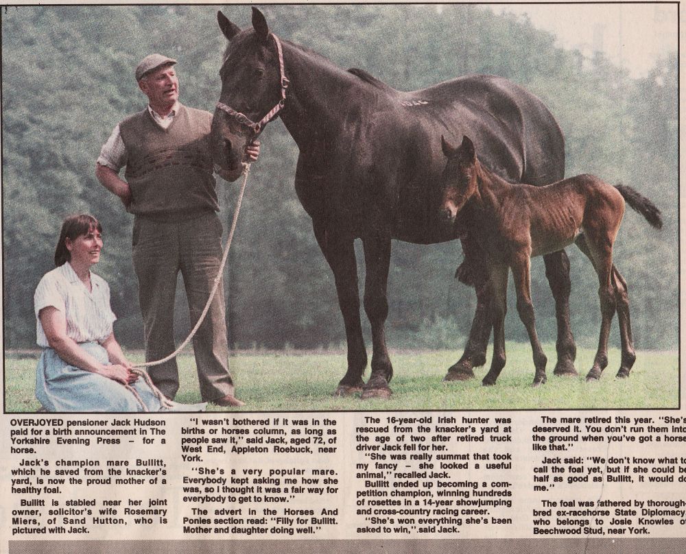 Newspaper cutting about Mr Hudson's horse & foal