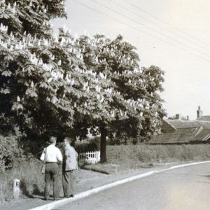Mill Lane near Old School