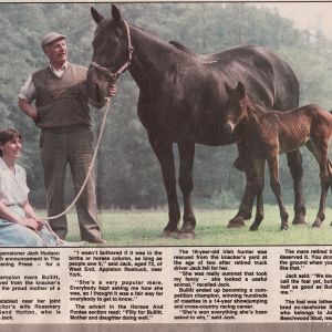 Newspaper cutting about Mr Hudson's horse & foal