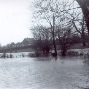 Acaster Lane flood (3)