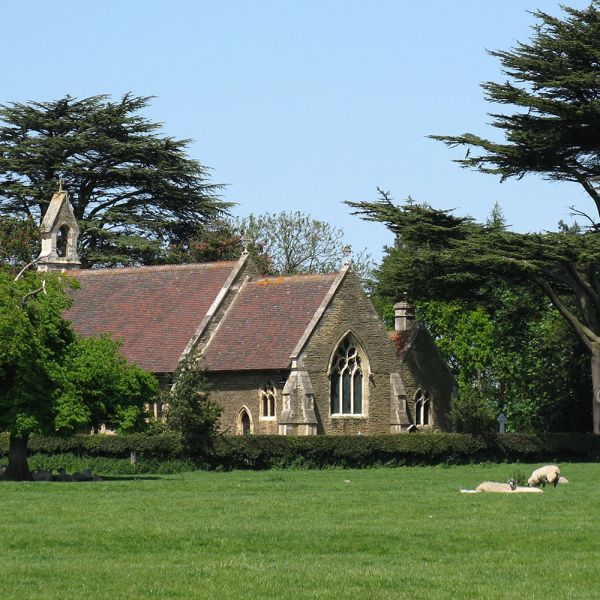  A church stands amongst trees with a field and sheep in the foreground.