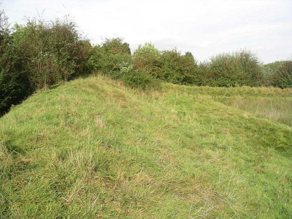 Brocket Hall moated site - bank