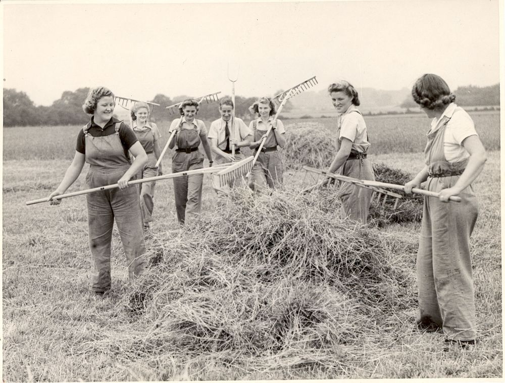 Land girls hay making