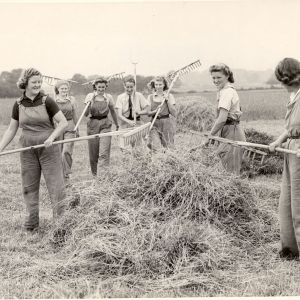 Land girls hay making
