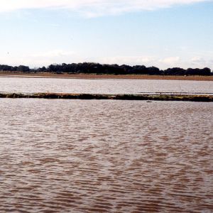 Acaster Airfield flood