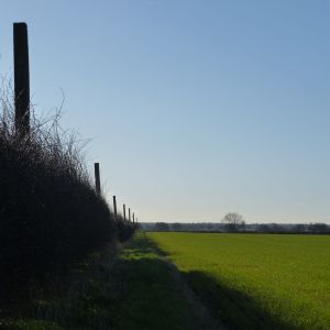 Anti-aircraft posts, Colton Lane